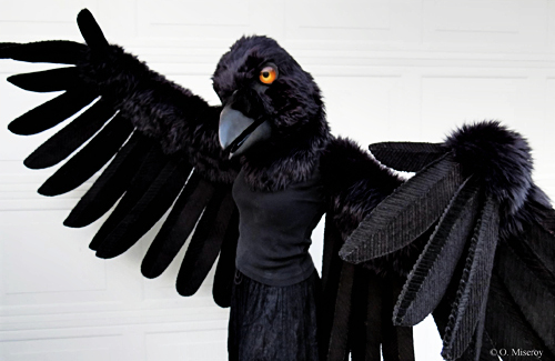 Audubon California Halloween birdy costume winner 2013, Olivia Miseroy