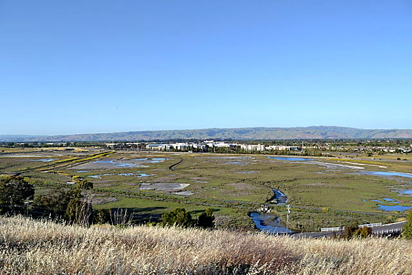 La Riviere Marsh at the Don Edwards San Francisco Bay National Wildlife Refuge. Photo courtesy Oleg Alexandrov via Wikipedia.