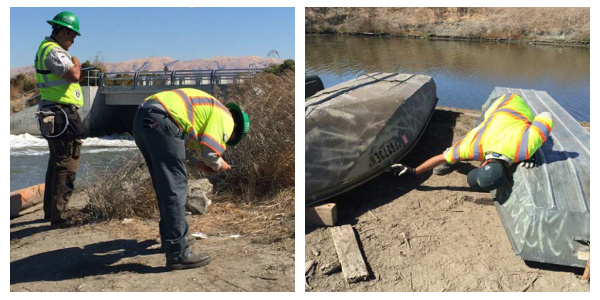 San Jose Conservation Corps cleaning up various ponds and levees in the south San Francisco Bay as part of the Litterati project. Credit Olivia Andrus.