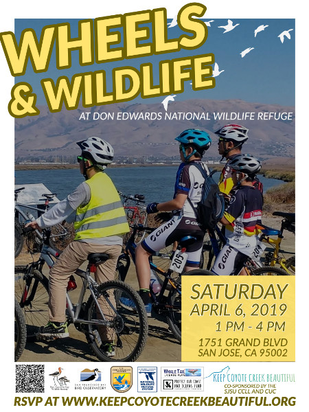 Wheels and Wildlife at the Don Edwards SF Bay National Wildlife Refuge • April 6, 2019