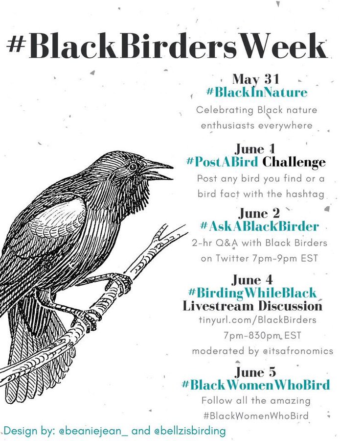 Inaugural #BlackBirdersWeek from May 31 to June 5, 2020