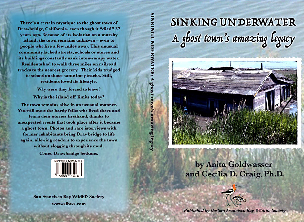Sinking Underwater: A Ghost Town's Amazing Legacy by Anita Goldwasser and Cecilia D. Craig, Ph. D.
