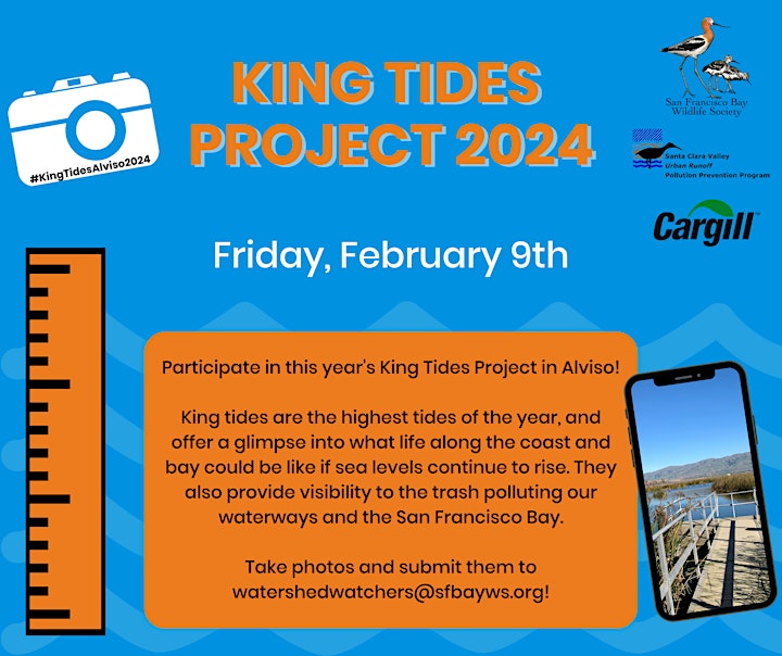 King tides observation points in Alviso, CA
