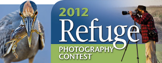 National Wildlife Refuge Association (NWRA) 2012 Wildlife Refuge Photo Contest. Photograph courtesy NWRA. Copyright NWRA.