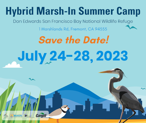 Marsh-In Summer Camp | July 24-28, 2023