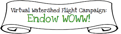 Virtual Watershed Flight Campaign: Endow WOWW!