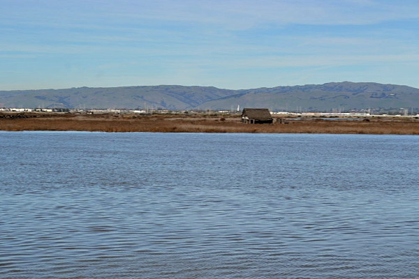 Drawbridge as viewed from the vista point across Coyote Creek.