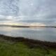 A photo of a marsh under cloudy skies.