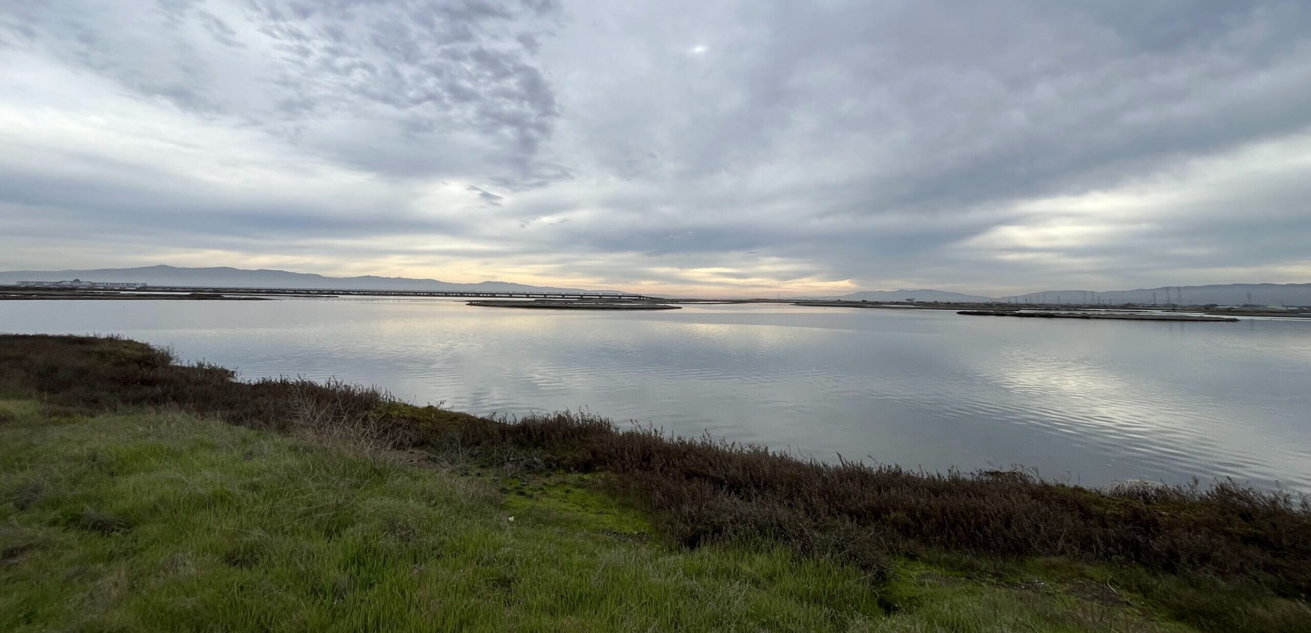 A photo of a marsh under cloudy skies.