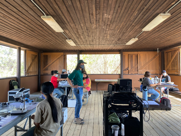 A staff member instructs students seated at tables with microscopes in the pavilion.