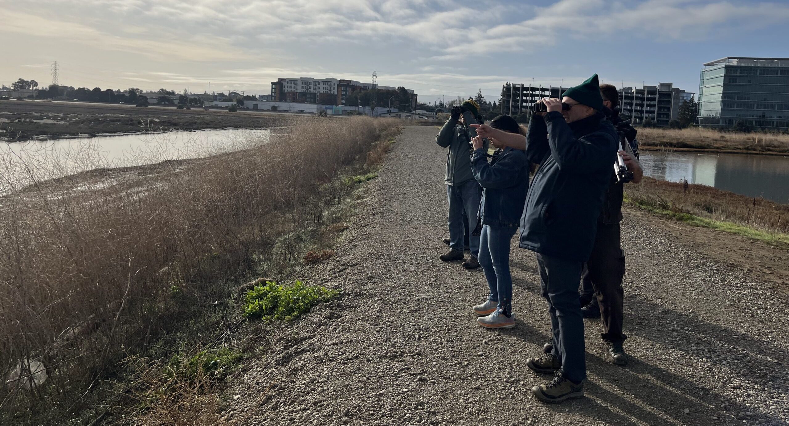 Participants peer through binoculars to observe birds in the marsh.