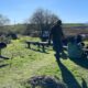 Volunteers helping remove invasive vegetation from the Don Edwards SF Bay National Wildlife Refuge.