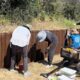 A group of volunteers paints bollards at the Don Edwards SF Bay National Wildlife Refuge.