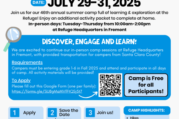 Flyer for camp