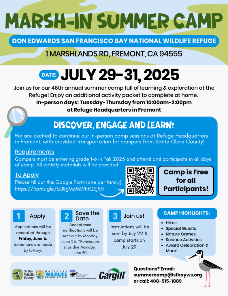 Flyer for camp