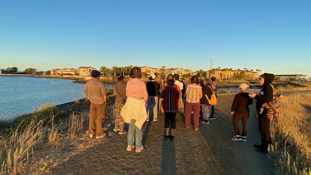 A group of people gather at Bair Island during sunset