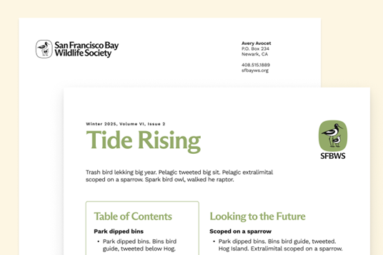 Mockup of new logo and font on letterhead and newsletter