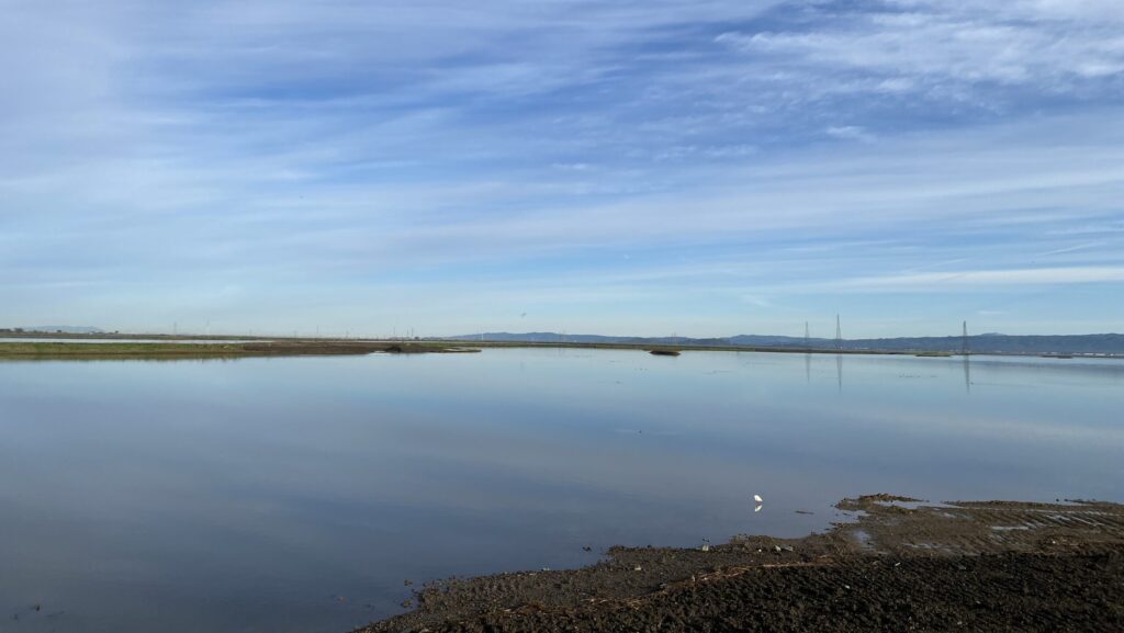 View of pond A2W