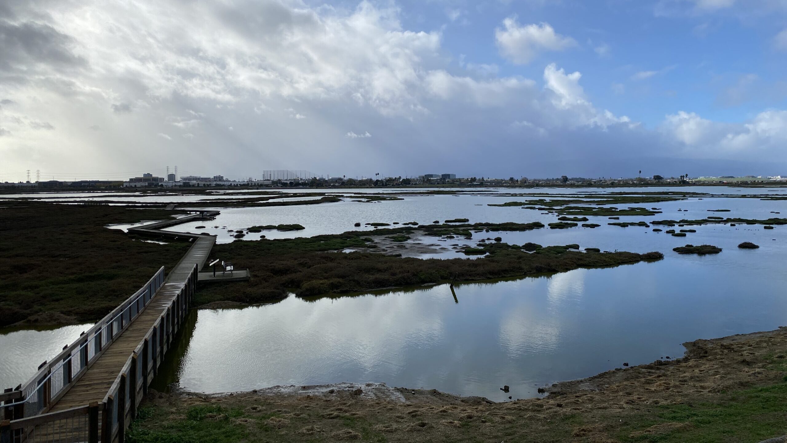 New Chicago Marsh, a wetland with low-lying vegetation and reflective waters, plus a pedestrian boardwalk.