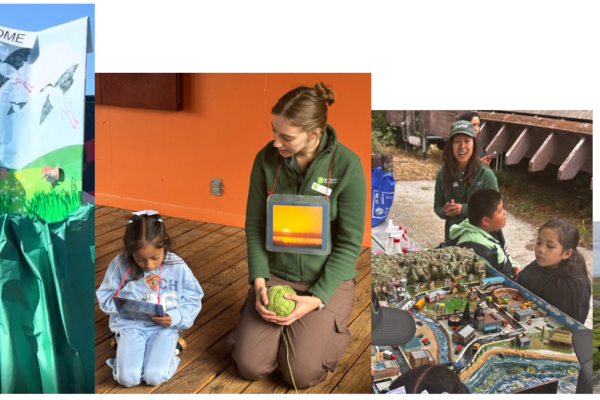 A collage of four images showing a student-led puppet show, story time, watershed model, and tour of the marsh.