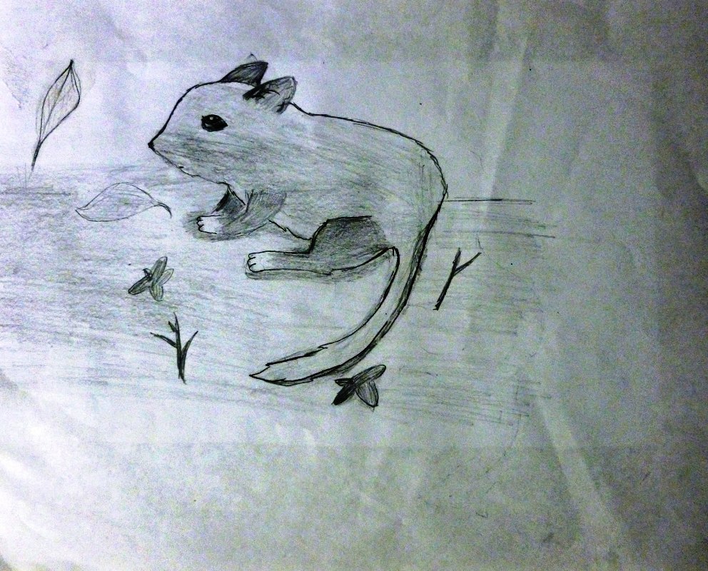 5th Grade 3rd Place. 'Kangaroo Rat' by Lu Tai from Glenmoor Elementary School. Image courtesy US Fish and Wildlife Service.