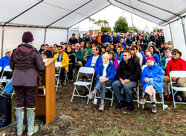 Anne Morkill, San Francisco Bay National Wildlife Refuge Complex manager, addresses guests at Dec. 10 Bair Island restoration celebration near Redwood City, Calif. Photo courtesy U.S. FWS / Julie Kitzenberger.