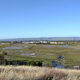 View of a marsh