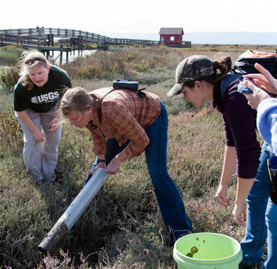 Biologist Stacy Moskal instructed citizen scientists on sampling for macroinvertebrates in the mud. Image courtesy US Fish and Wildlife Service