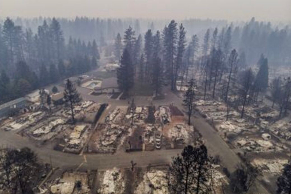 Complete devastation in Paradise, California framed by conifers at the foothills of the Sierra Nevada.