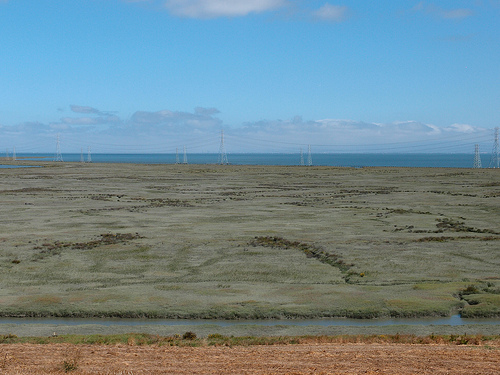 View overlooking the Don Edwards Refuge’s Greco Island