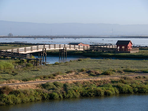 Refuge lands as seen on the Tidelands Trail overlooking Newark Slough in Fremont