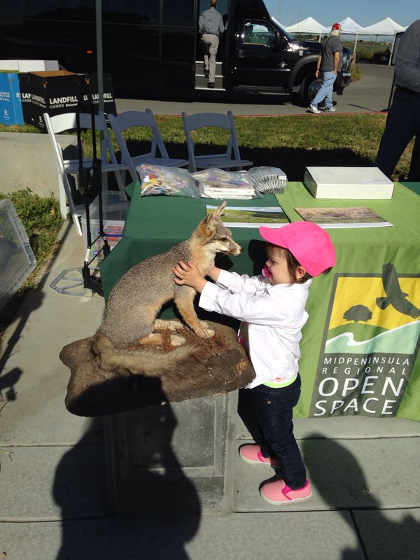 Kids enjoy themselves at the Spring Festival. Photo courtesy Midpeninsula Regional Open Space District.