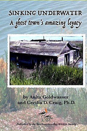 Sinking Underwater: A Ghost Town's Amazing Legacy by Anita Goldwasser and Cecilia D. Craig, Ph. D.