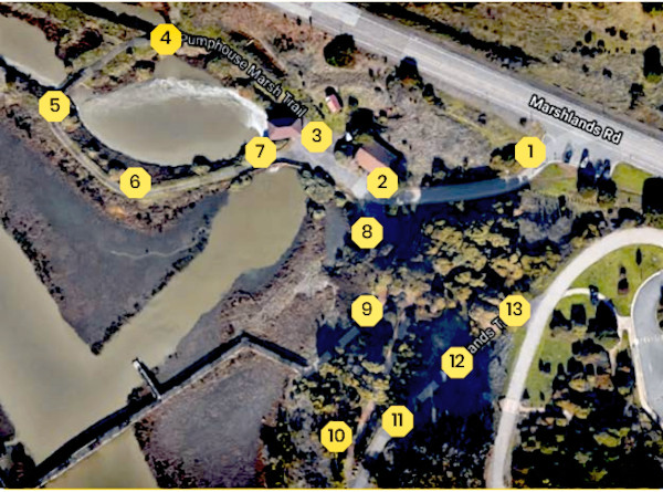 Numbered stops on the  trail at SF Bay NWR Complex in Fremont for the self-guided Story Walk A Home for Salty.