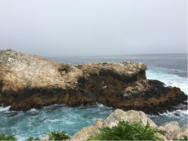 Blowhole Peninsula at the Farallon National Wildlife Refuge.