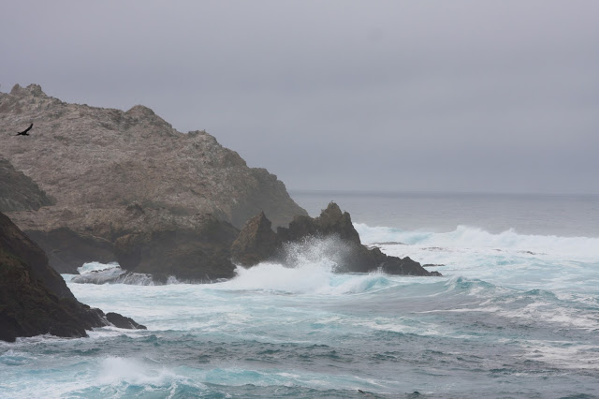 Drunk Uncle Islets at the Farallon National Wildlife Refuge.