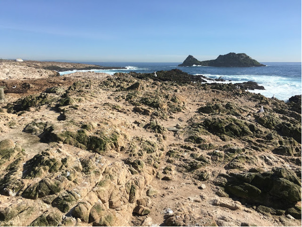 Last Resort at the Farallon National Wildlife Refuge.