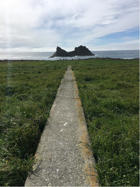 Road to Nowhere at the Farallon National Wildlife Refuge.