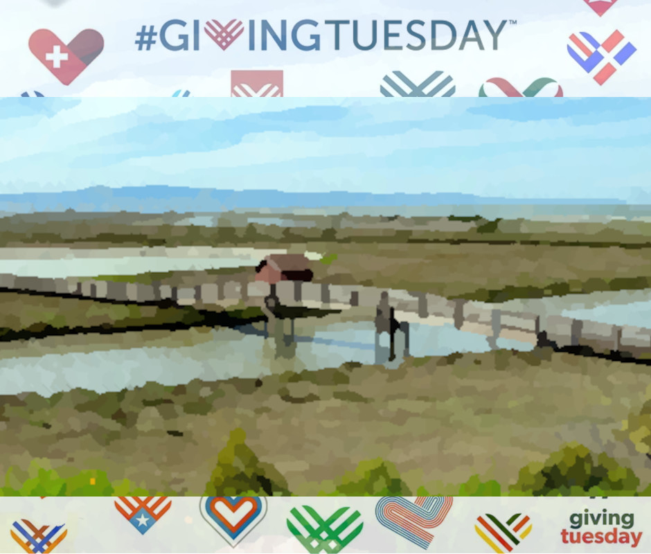 #GivingTuesday