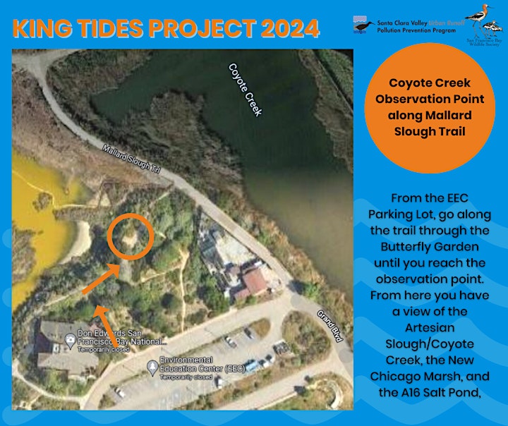 King tides observation point at Coyote Creek along the Mallard Slough Trail