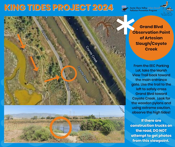 King tides observation point of Artesian Slough / Coyote Creek at Grand Blvd