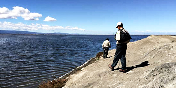 San Jose Conservation Corps cleaning up various ponds and levees in the south San Francisco Bay. Credit Olivia Andrus.