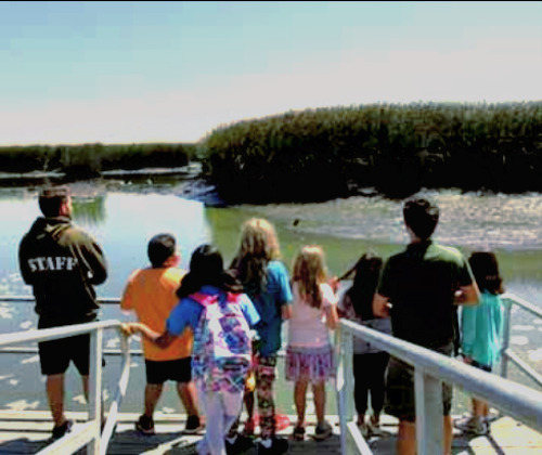 Children participating in the Living Wetlands program