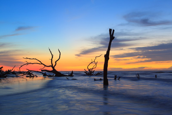 Bonyard Sunrise, Cape Roman NWR, NC | Ben Sumrell