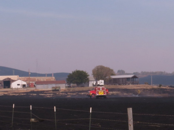 Marin County Fire Department crews of Fire Engine #1566 and Water Tender #1596 put out a blaze from the 37 Fire west of the San Pablo Bay NWR offices on October 10, 2017. Credit Don Brubaker, U.S FWS.