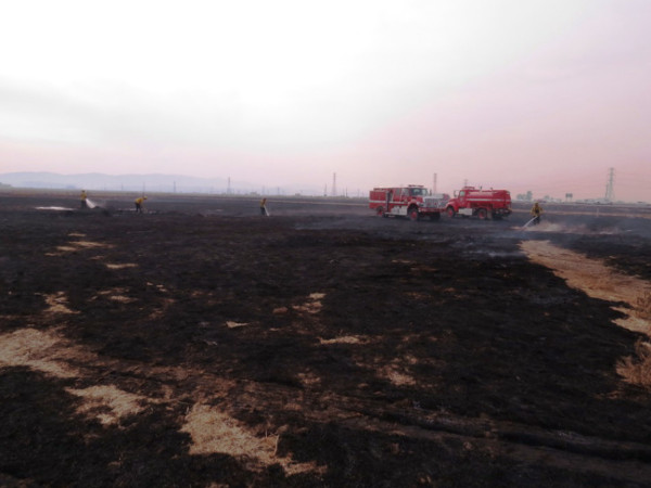 U.S. Fish and Wildlife Service crew of Fire Engine #3152 from the San Luis National Wildlife Refuge joins in to help put out a blaze from the 37 Fire west of the San Pablo Bay NWR offices on October 10, 2017. Credit Don Brubaker, U.S FWS.