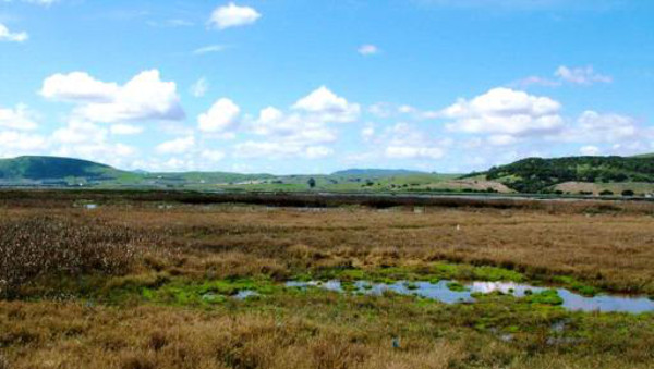 Skaggs Island. Photo by Don Brubaker. Photo courtesy US Fish and Wildlife Service.