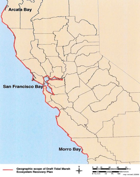 Geographic Scope of the Tidal Marsh Ecosystem Recovery Plan that addresses endangered and threatened species of tidal marshes in California from Humboldt Bay to Morro Bay