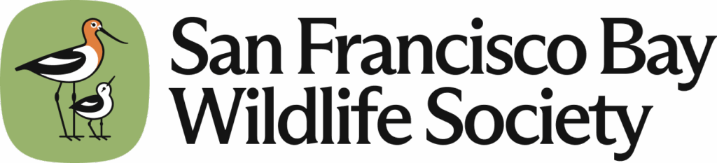 2025 San Francisco Bay Wildlife Society Logo featuring artwork of an American Avocet and a chick against a green background.
